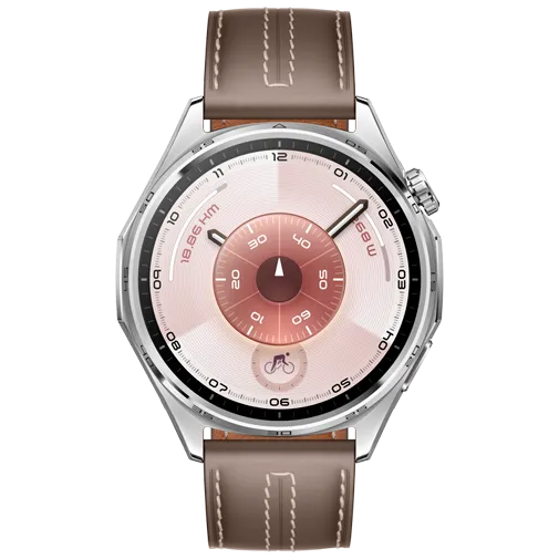 Huawei Watch GT 6 46mm Silver (Brown Strap)