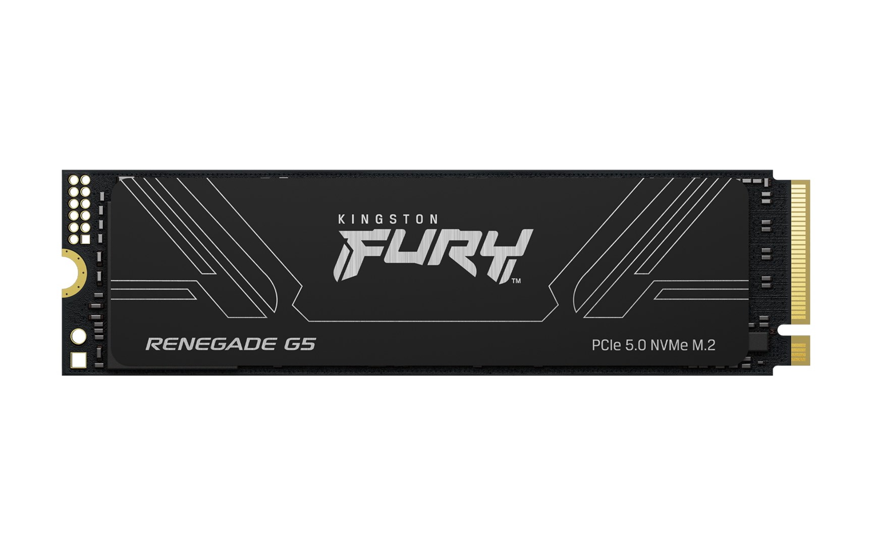 Kingston Renegade G5 1 TB SSD SFYR2S/1T0
