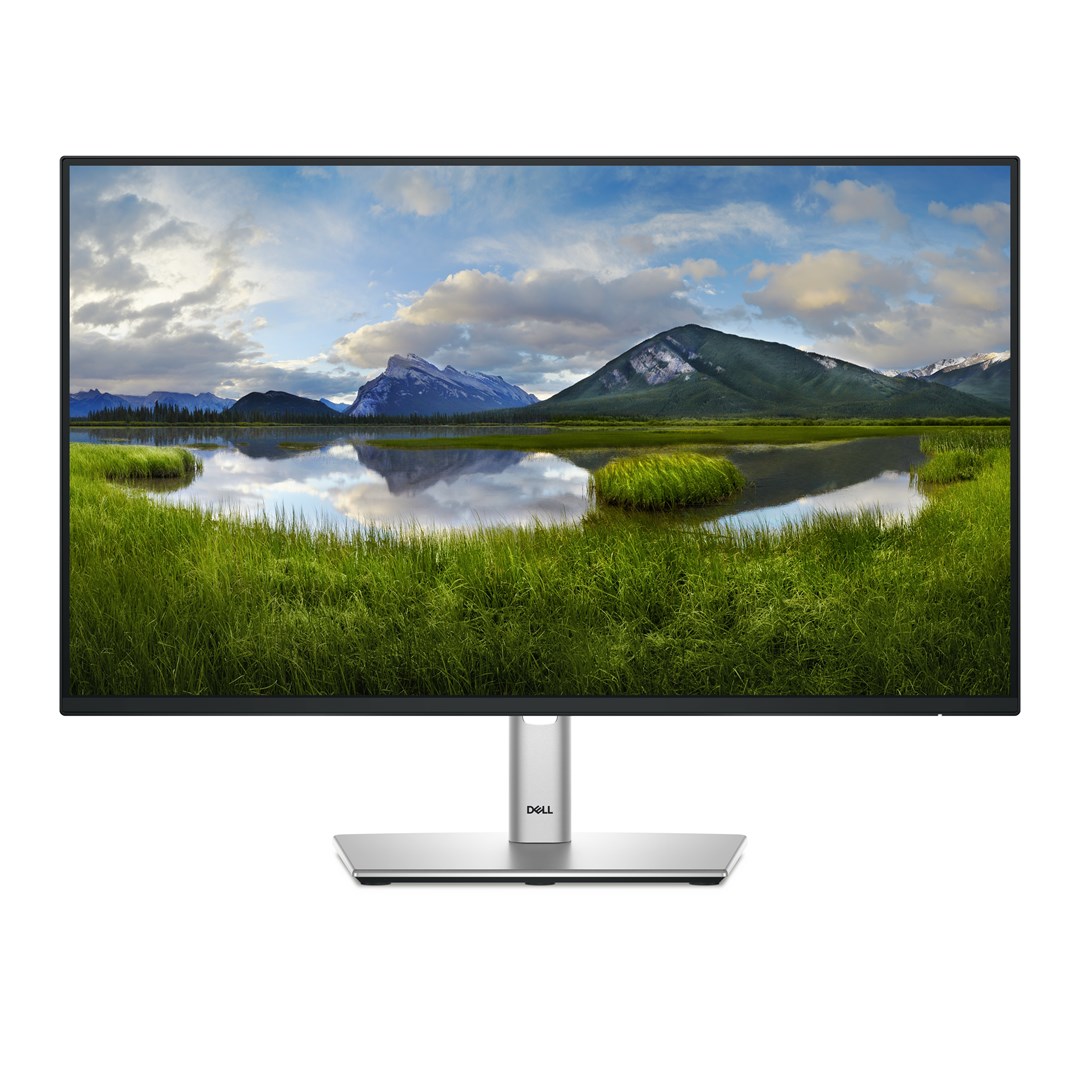 Dell P2425HE LED monitor