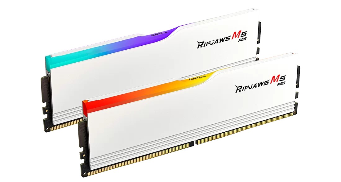 G.Skill DIMM 32 GB DDR5-6000 Memory module 6000 MHz 2-module F5-6000J2836G16GX2-RM5RW