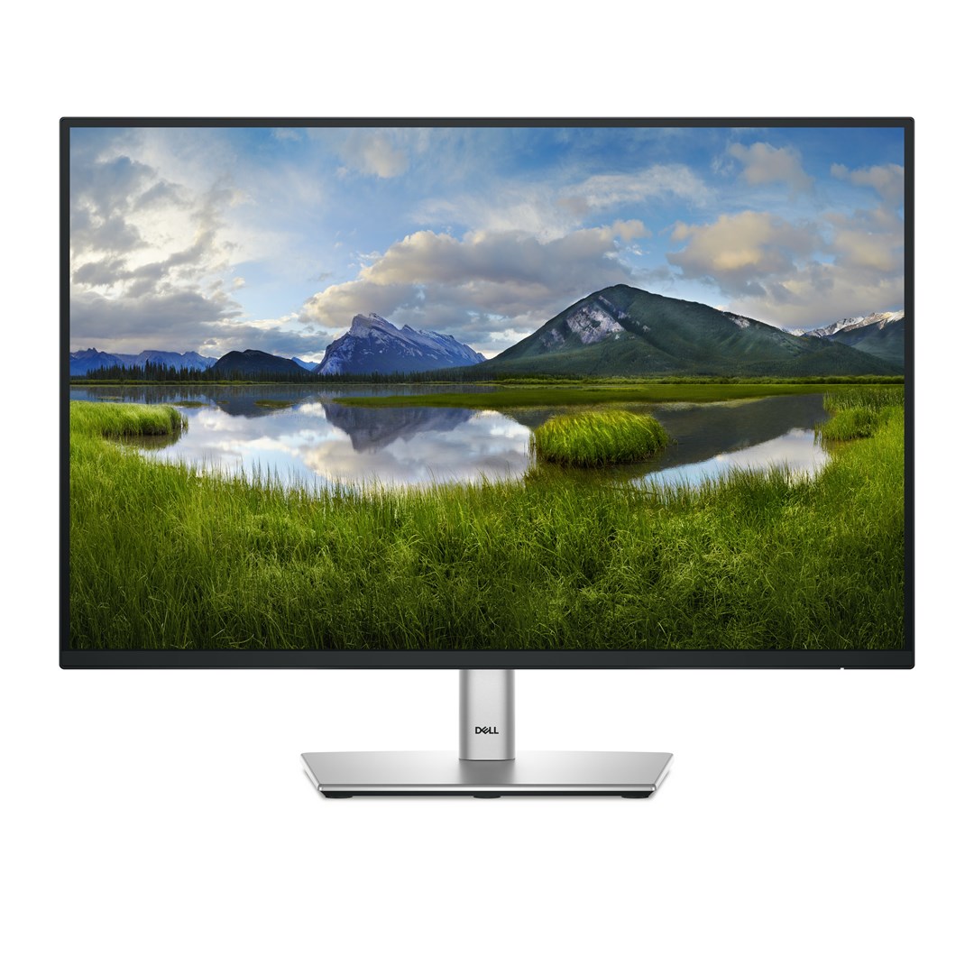DELL P Series P2425E computer monitor 61.1 cm (24.1") 1920 x 1200 px WUXGA LCD, black 210-BMJF