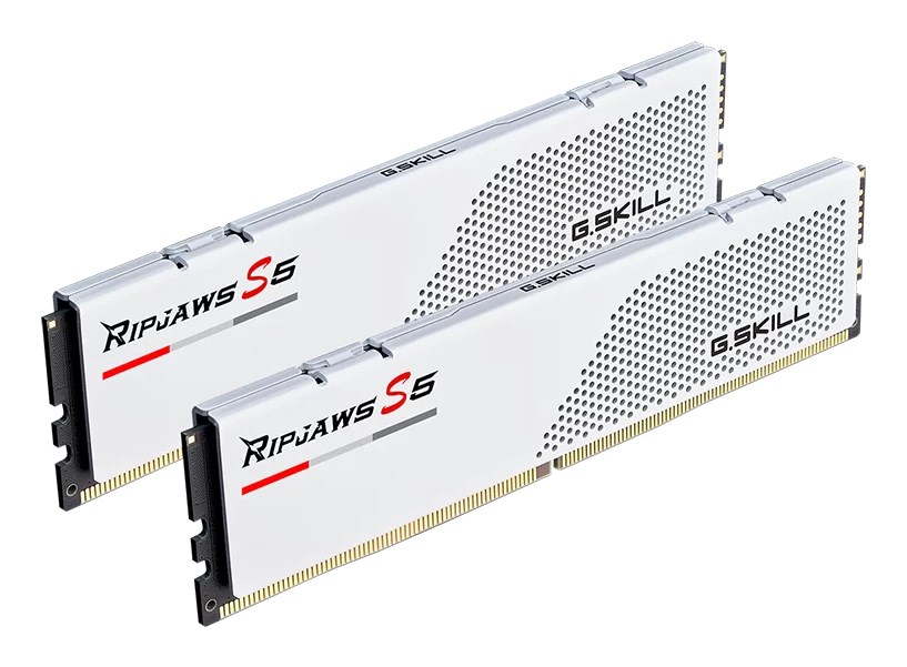 G.Skill DIMM 32 GB DDR5-6000 Memory module 6000 MHz 2-module F5-6000J2836G16GX2-RS5W